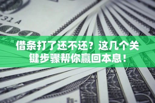 济南借条打了还不还？这几个关键步骤帮你赢回本息！