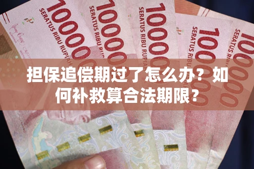 济南担保追偿期过了怎么办？如何补救算合法期限？